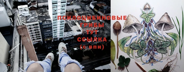 mdma Верея