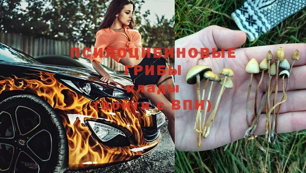 mdma Верея